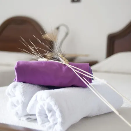 A Ferachiusa *